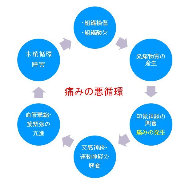 悪循環図.png